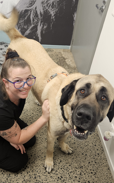 Christine Edwards | RVN